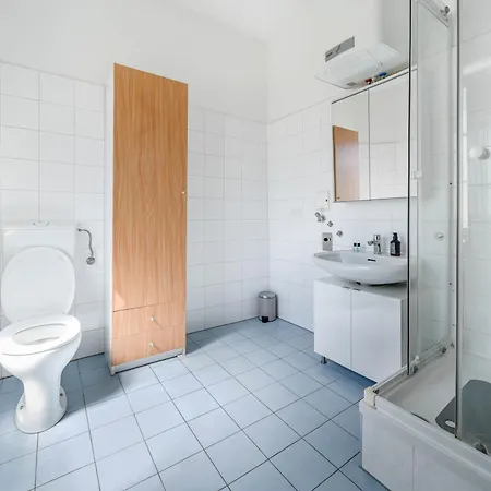 דירה 1-zimmer-apartment, 18 Min Altstadt, Smart Tv גראץ